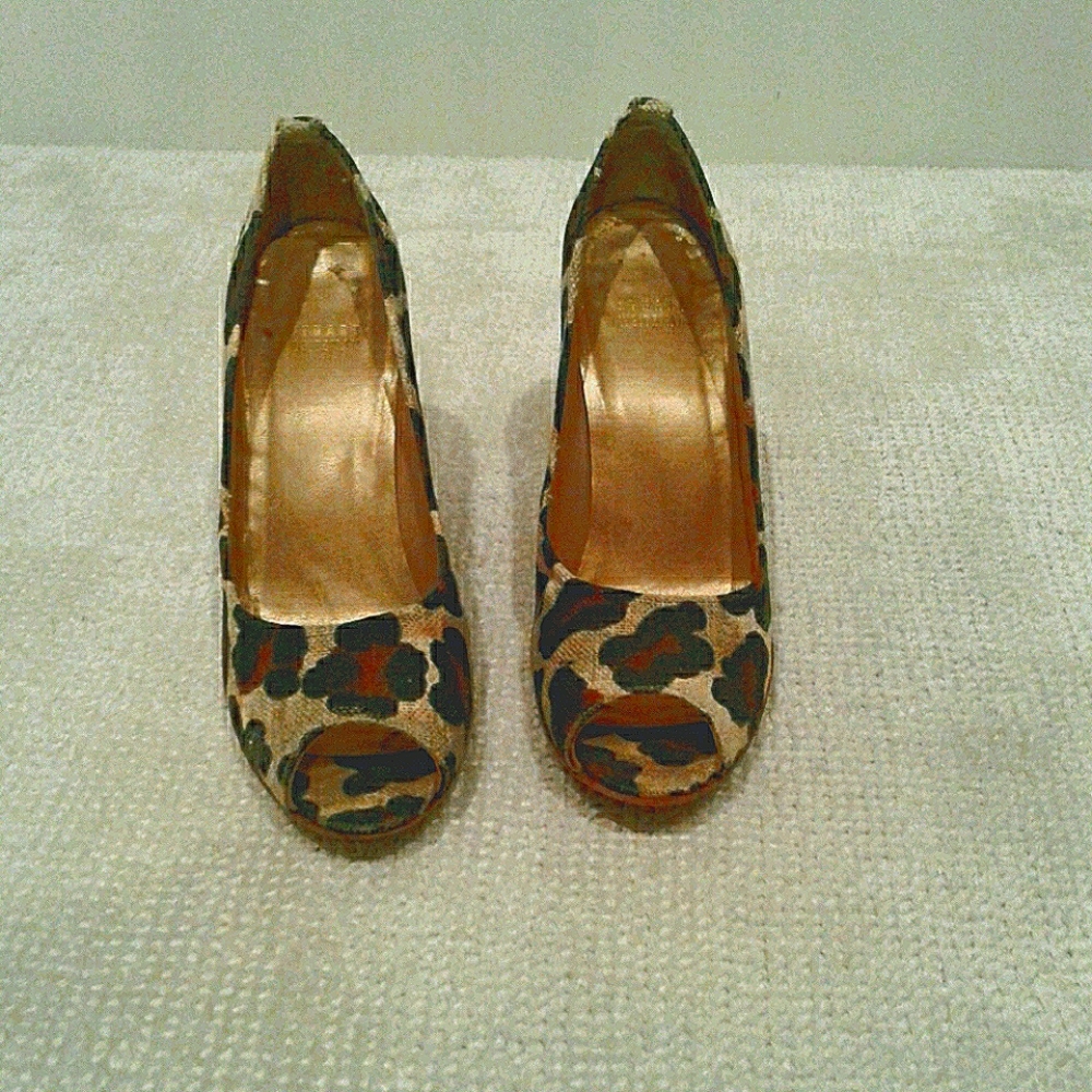 Stuart Weitzman Wedge Shoes